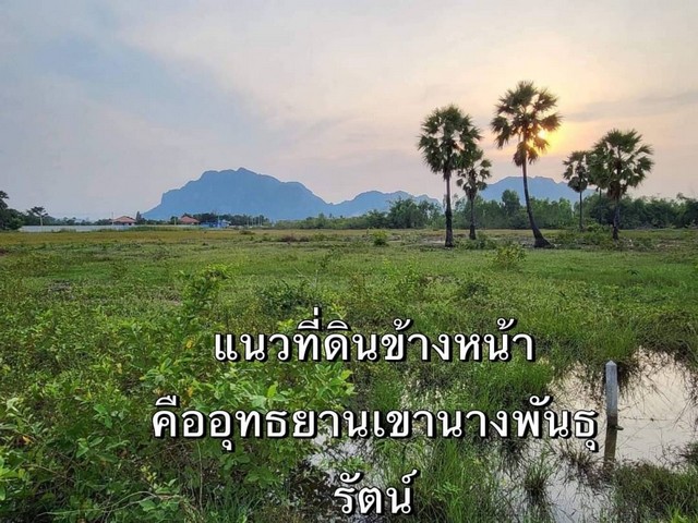 ขายที่ดินชะอำ เพชรบุรี 13-0-191 ไร่ วิวภูเขา ใกล้อุทยานนางพันธุรัตน์ ไม่ไกลหาดชะอำ  เดินทางสะดวก  รูปที่ 1