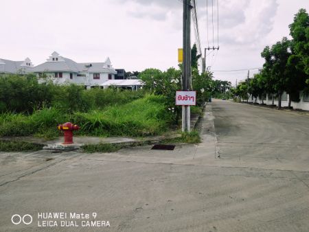 ขาย ที่ดิน หมู่บ้านอรุณสุนทรี 2 ไร่ ถมแล้ว ใกล้สี่แยกทศกัณฐ์ บางแวก กทม. รูปที่ 4