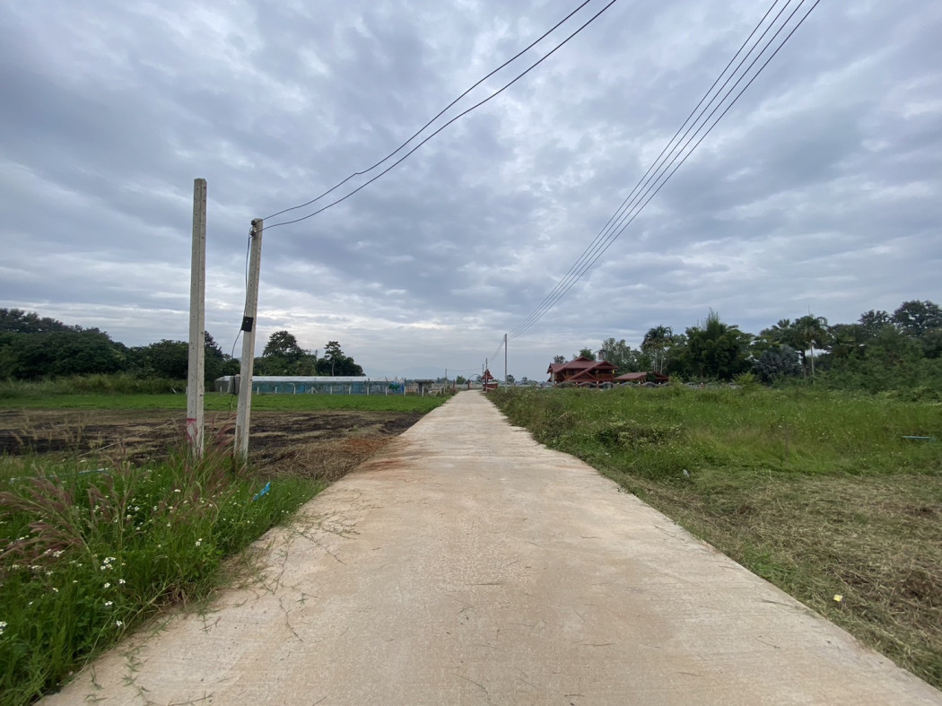 ขาย ที่ดินเปล่า พร้อมสร้างบ้าน ใกล้สนามบินแม่ฟ้าหลวง เดินทางสะดวก วิวดี เงียบสงบ รูปที่ 11