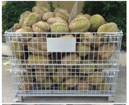 Wiremesh ตะแกรงเหล็กพับได้  รูปที่ 3
