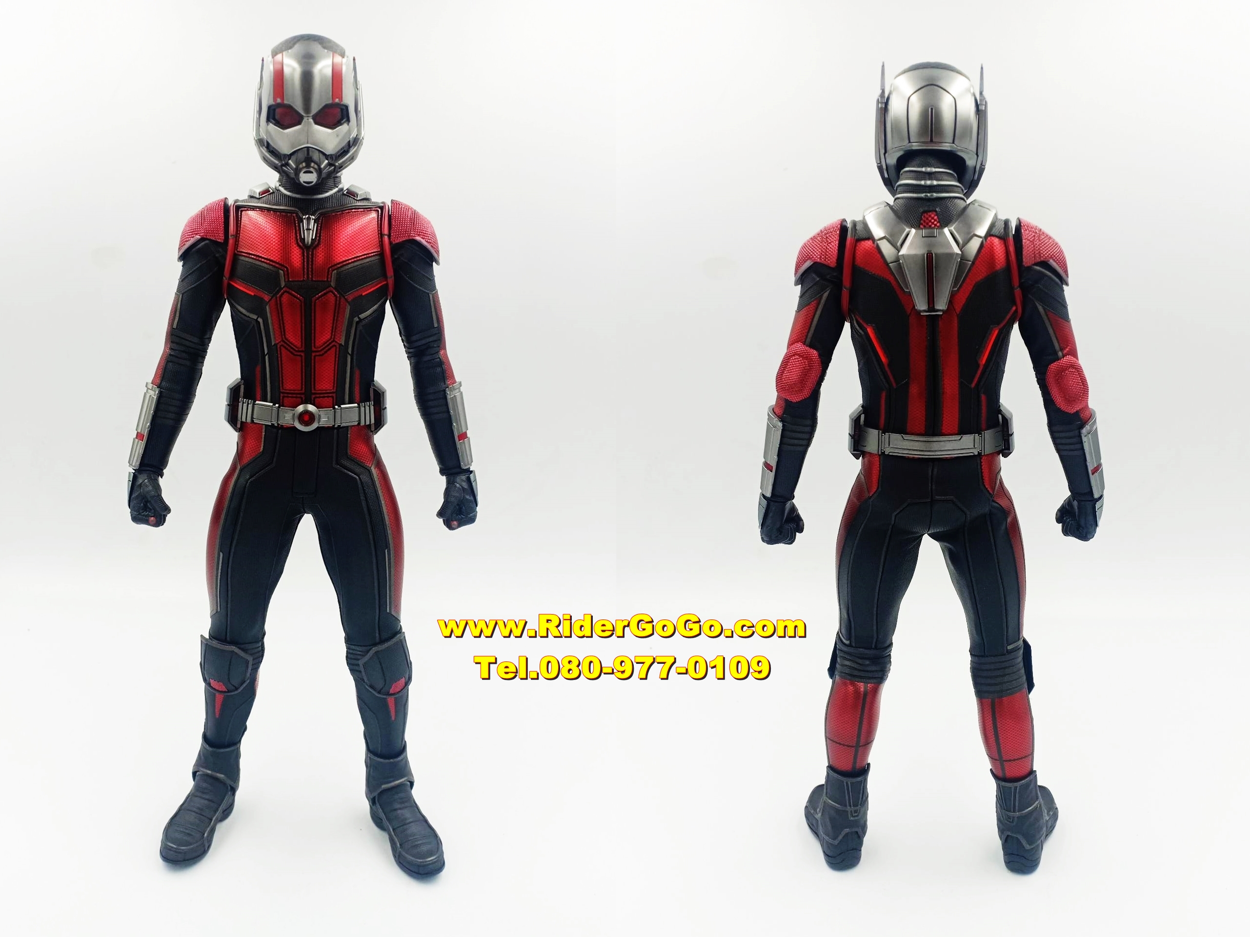HOT TOYS ANT-MAN AND THE WASP MMS497 โมเดลแอนท์แมน ภาคสองของเรื่อง ของใหม่ของแท้ รูปที่ 4