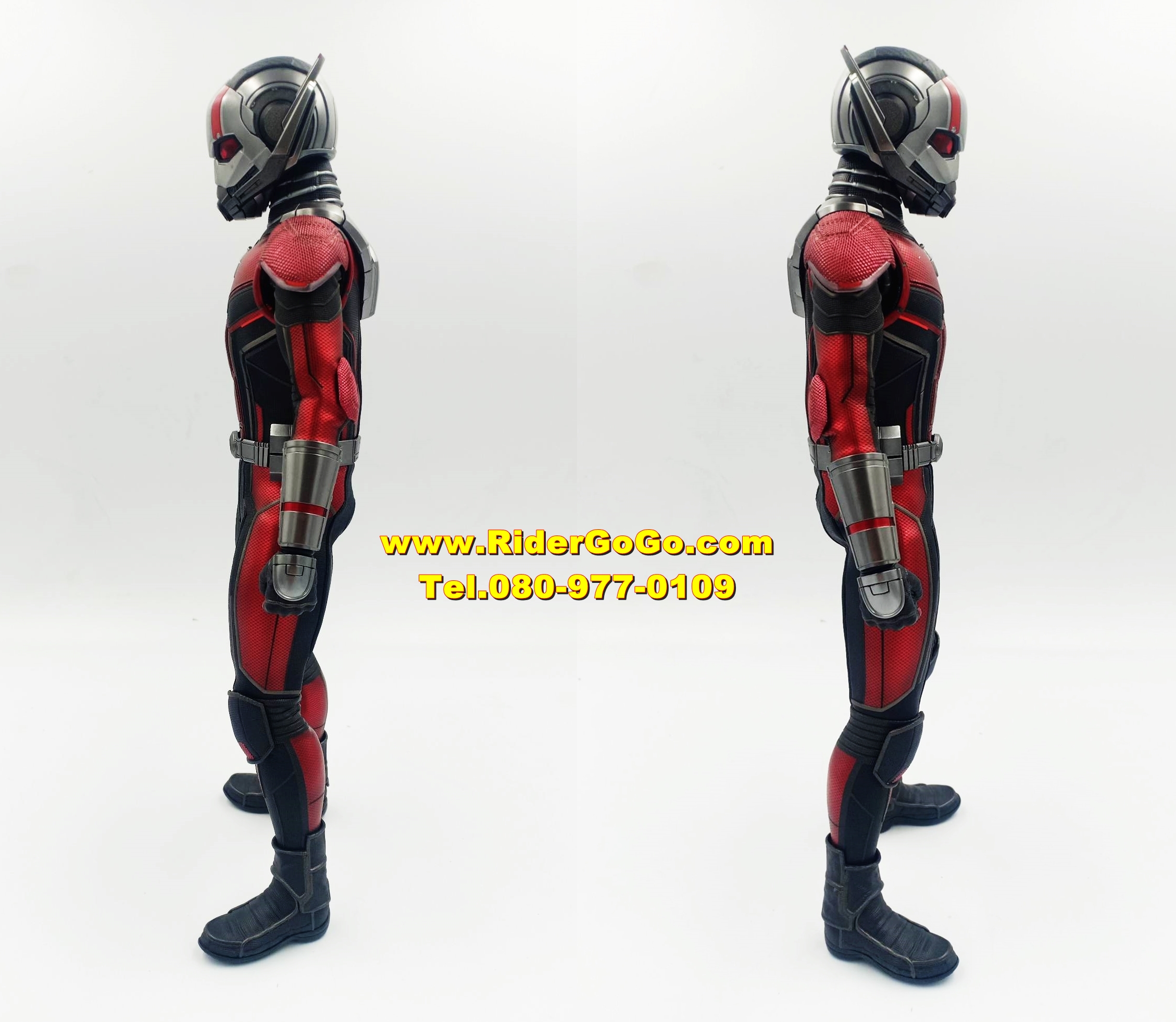 HOT TOYS ANT-MAN AND THE WASP MMS497 โมเดลแอนท์แมน ภาคสองของเรื่อง ของใหม่ของแท้ รูปที่ 5