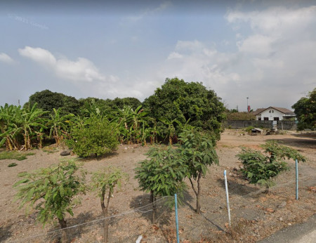 ขายที่ดินบ้านสวน 5 ไร่ ติดถนนคอนกรีต 2 ด้าน ใกล้ถนนบายพาส(361) - 450 เมตร เมืองชลบุรี ชลบุรี รูปที่ 1