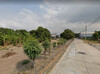 รูปย่อ ขายที่ดินบ้านสวน 5 ไร่ ติดถนนคอนกรีต 2 ด้าน ใกล้ถนนบายพาส(361) - 450 เมตร เมืองชลบุรี ชลบุรี รูปที่3