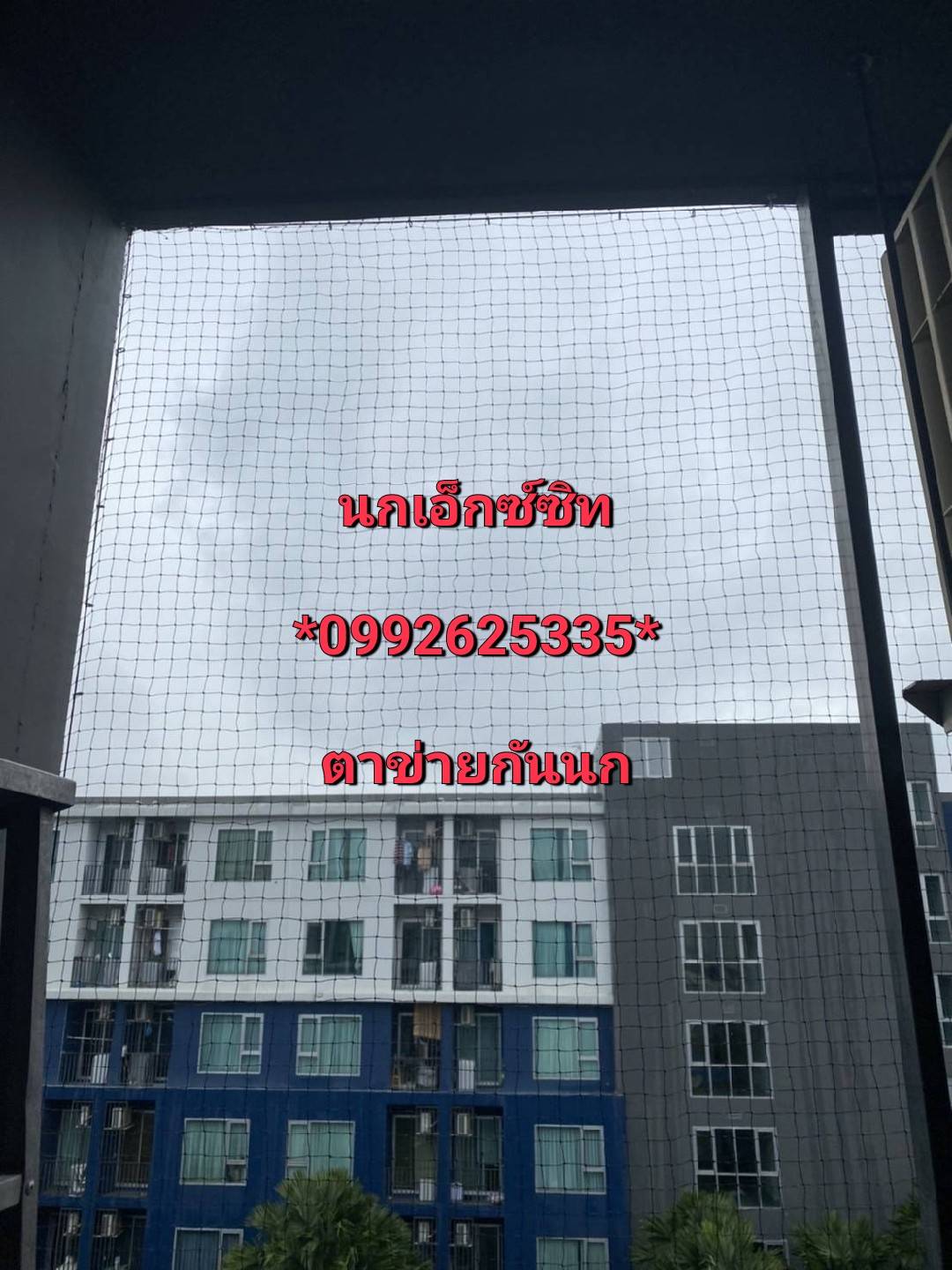 Bird net *ตาข่ายระเบียงคอนโด*0992625335 รูปที่ 7