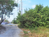 รูปย่อ ขาย ที่ดิน ME262 ผัง EEC สีม่วงลาย นิคมอมตะ เฟส8 บ้านเก่า พานทอง ชลบุรี . 29 ไร่ 49 ตร.วา ติดถนนสาธารณะ 2 ด้าน ห่างถนน 3022 เพียง 1.2 Km. รูปที่5