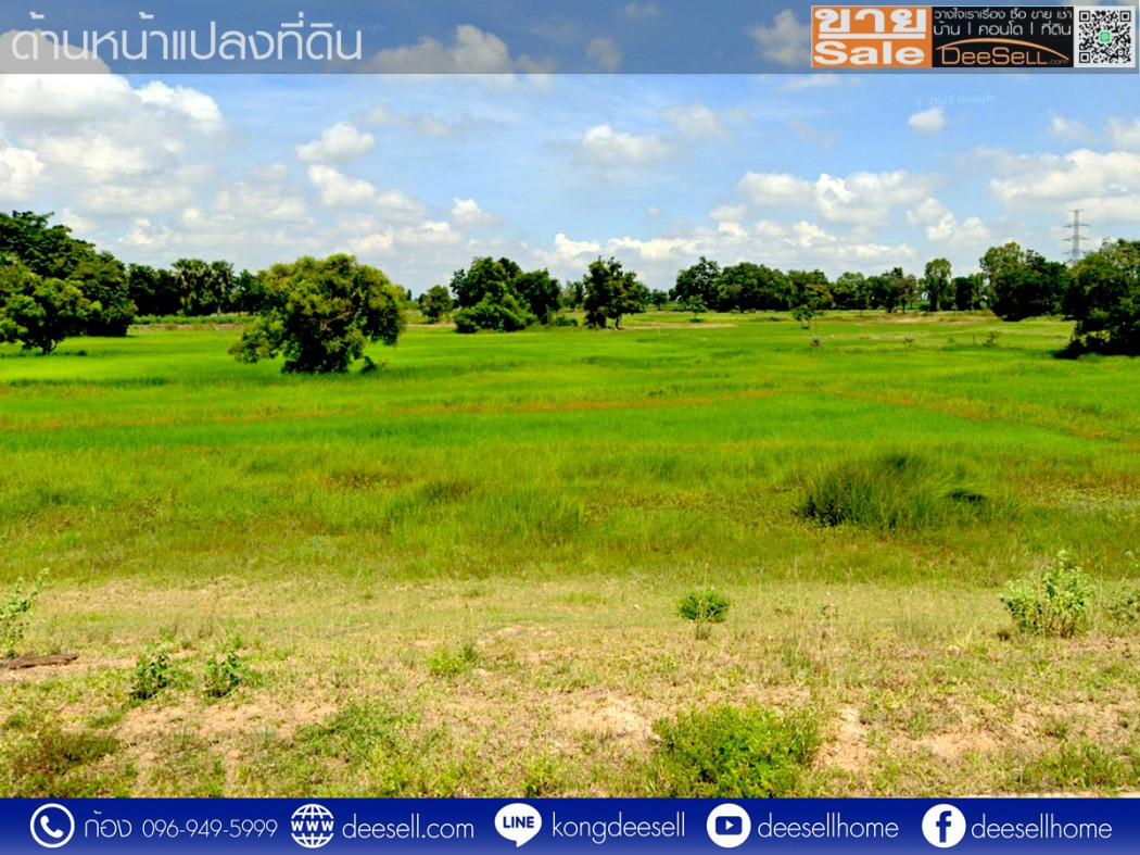 ขายที่ดินโคราช ขามทะเลสอ 7-1-42.7 ไร่ ติดถนนทางหลวง 290 รูปที่ 4