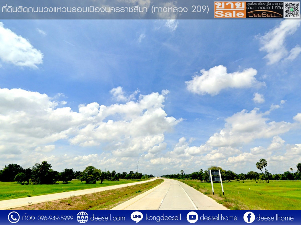 ขายที่ดินโคราช ขามทะเลสอ 7-1-42.7 ไร่ ติดถนนทางหลวง 290 รูปที่ 5