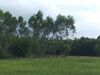 รูปย่อ ขายที่ดินคำโตนด 6 ไร่ เหมาะปลูกบ้านสวน ใกล้ถ.เส้นสุวรรณศร 33 - 4.3 กม. อ.ประจันตคาม จ.ปราจีนบุรี รูปที่1