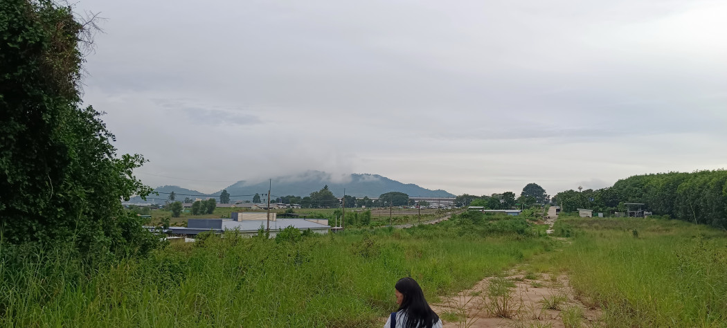 ให้เช่า ที่ดิน เหมาะทำ การเกษตร บ้านพักอาศัย มะขามคู่ ระยอง รูปที่ 3