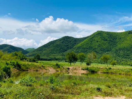 ขาย ที่ดิน ฟรีค่าโอนท่ายาง 1 ไร่ วิวเขาสุดอลังการ แบบธรรมชาติ
ถนนกว้าง8เมตร ทำคอนกรีต รูปที่ 6