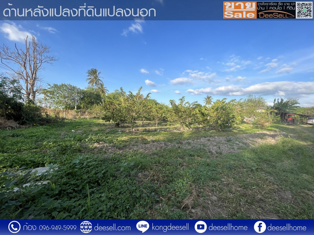 ขายที่ดิน กลางดง โคราช ปากช่อง 34-2-82.6 ไร่ ติดถนนมิตรภาพฝั่งขาออก รูปที่ 8