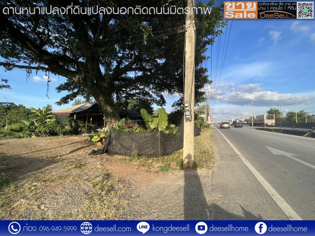 ขายที่ดิน กลางดง โคราช ปากช่อง 34-2-82.6 ไร่ ติดถนนมิตรภาพฝั่งขาออก รูปที่ 4