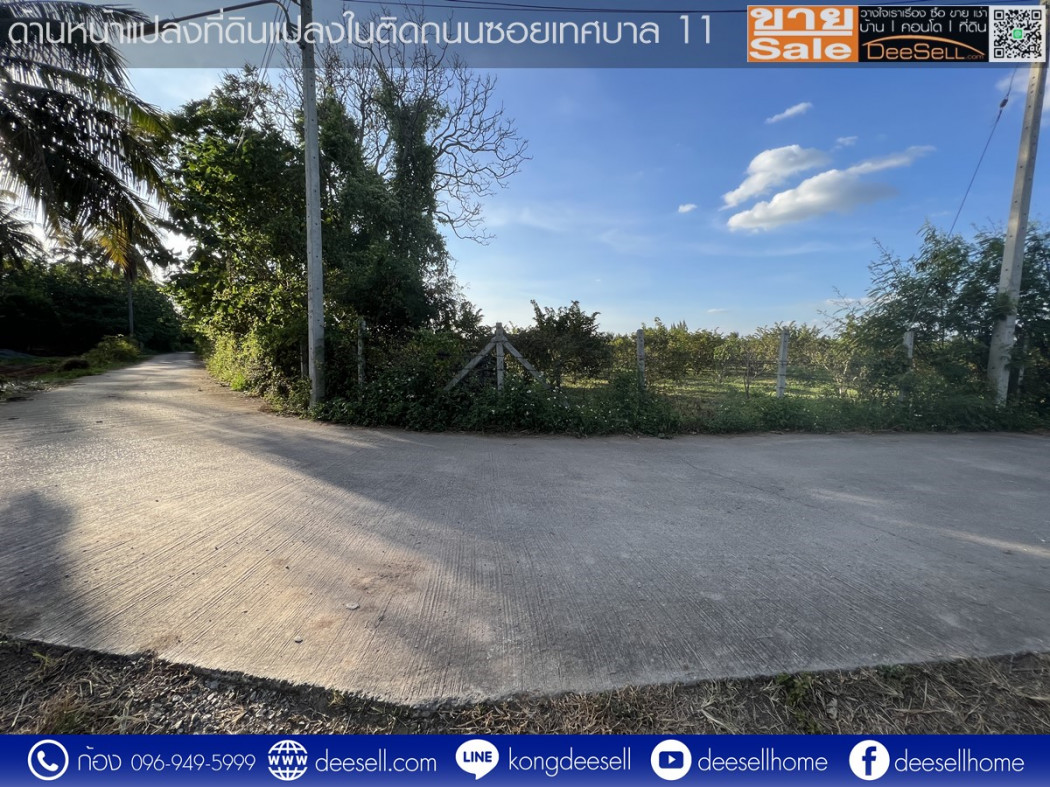 ขายที่ดิน กลางดง โคราช ปากช่อง 34-2-82.6 ไร่ ติดถนนมิตรภาพฝั่งขาออก รูปที่ 11