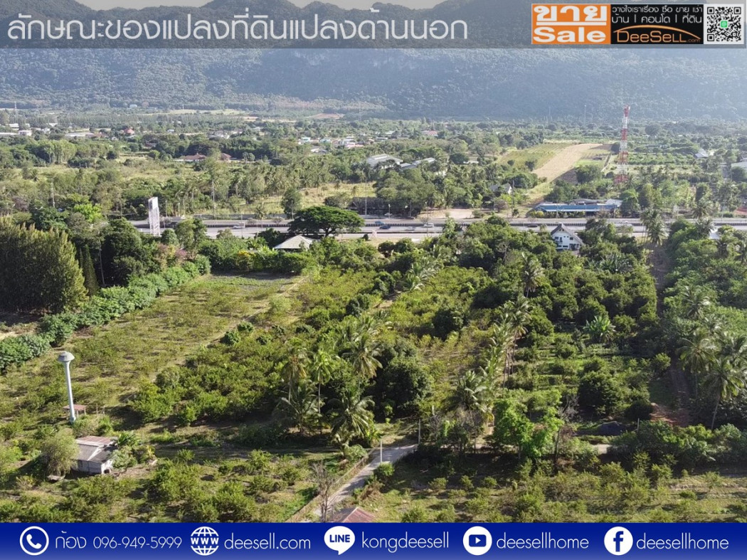 ขายที่ดิน กลางดง โคราช ปากช่อง 34-2-82.6 ไร่ ติดถนนมิตรภาพฝั่งขาออก รูปที่ 6
