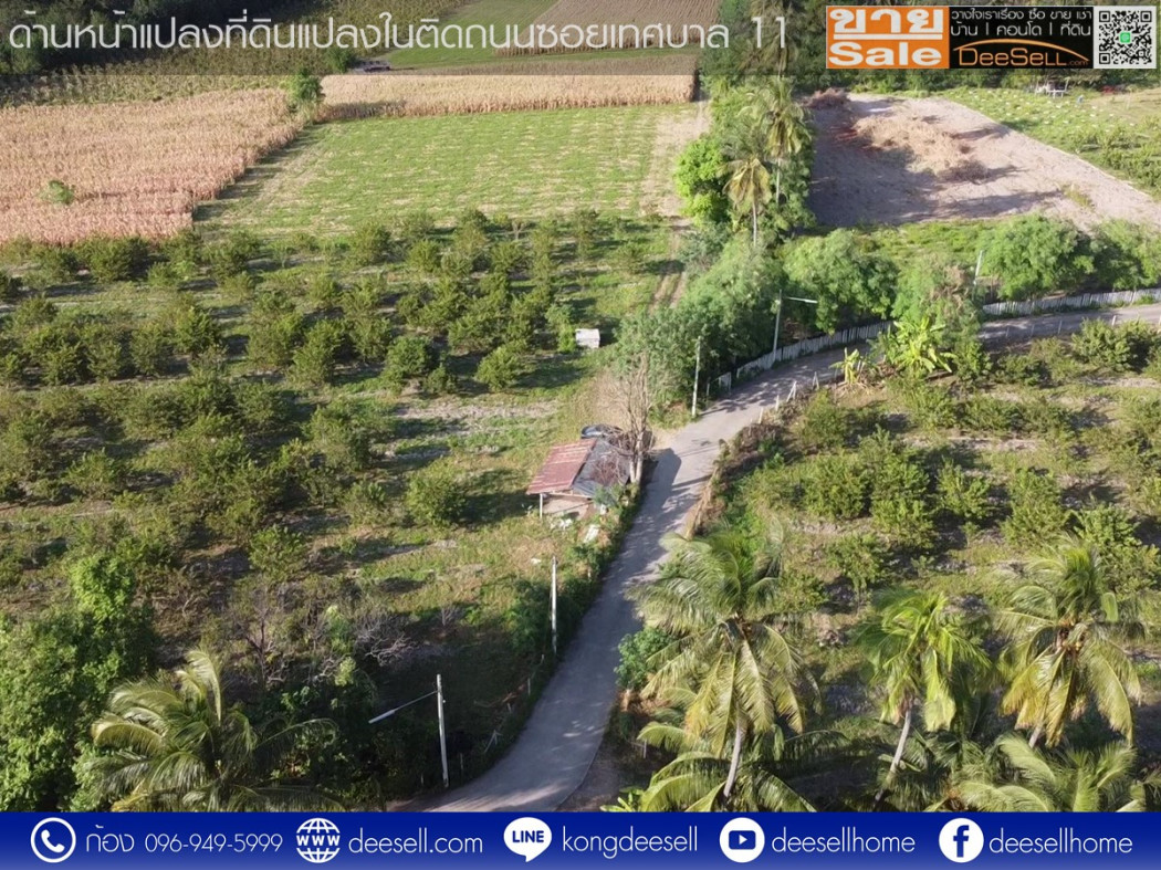 ขายที่ดิน กลางดง โคราช ปากช่อง 34-2-82.6 ไร่ ติดถนนมิตรภาพฝั่งขาออก รูปที่ 10