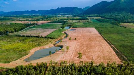 ขาย ที่ดิน ฟรีค่าโอนท่ายาง 1 ไร่ วิวเขาสุดอลังการ แบบธรรมชาติ
ถนนกว้าง8เมตร ทำคอนกรีต รูปที่ 3