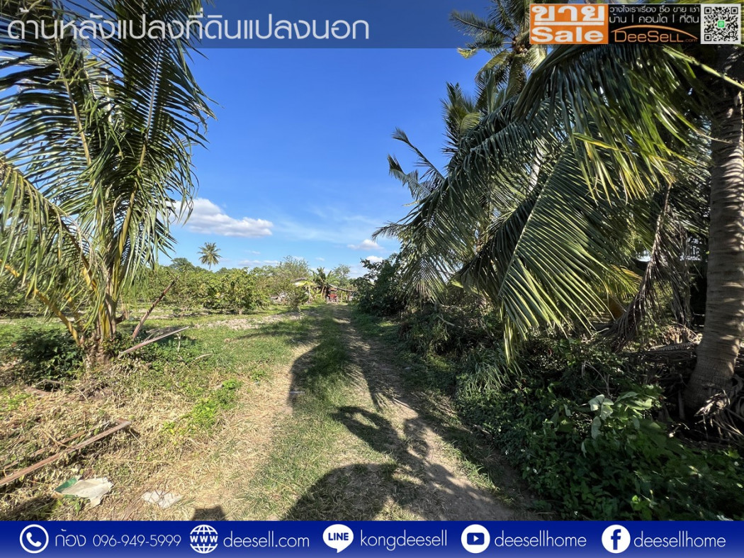 ขายที่ดิน กลางดง โคราช ปากช่อง 34-2-82.6 ไร่ ติดถนนมิตรภาพฝั่งขาออก รูปที่ 9