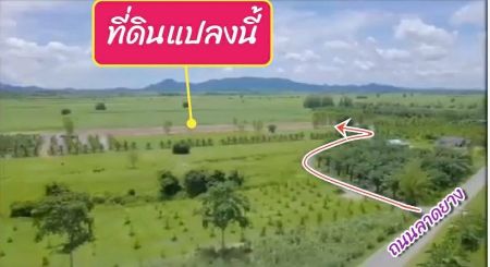 ขาย ที่ดิน แปลงสวยวิวภูเขาใกล้แก่งกระจานแก่งกระจาน 1 ไร่ พร้อมปลูกบ้าน น้ำไฟเข้าถึง รูปที่ 5