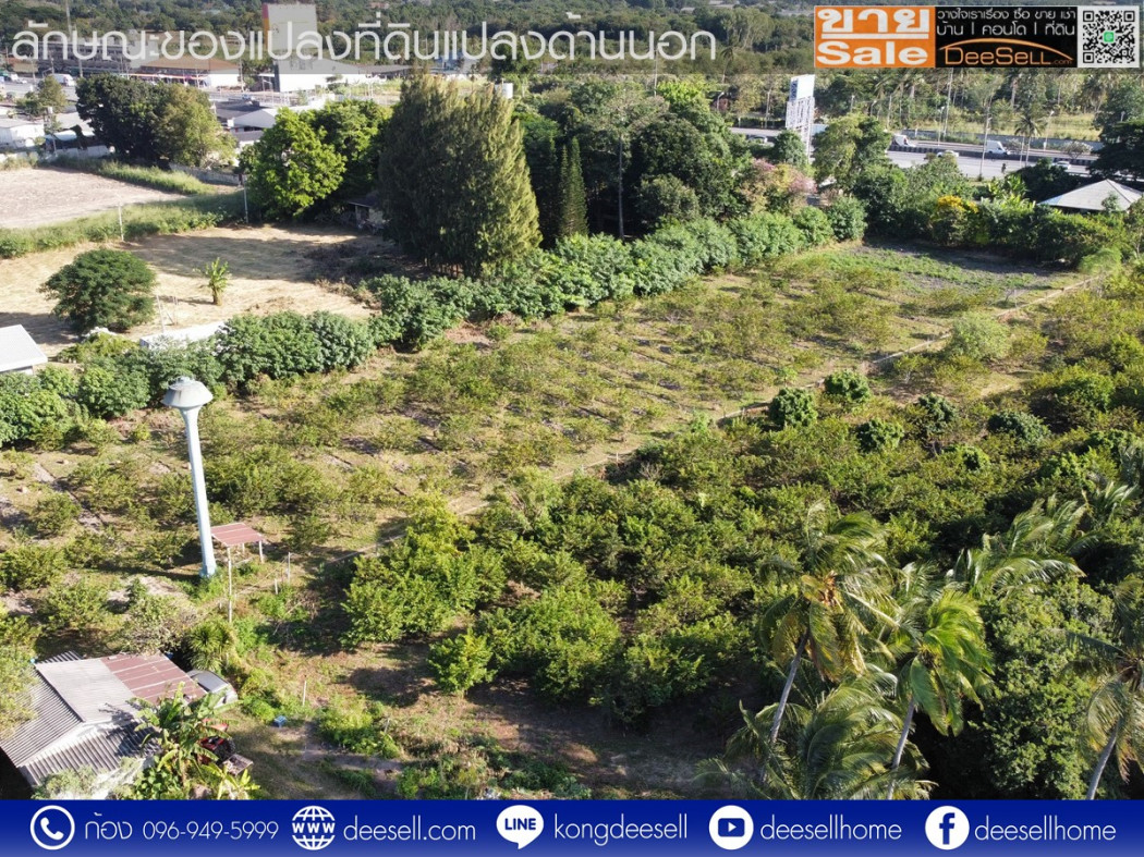 ขายที่ดิน กลางดง โคราช ปากช่อง 34-2-82.6 ไร่ ติดถนนมิตรภาพฝั่งขาออก รูปที่ 7