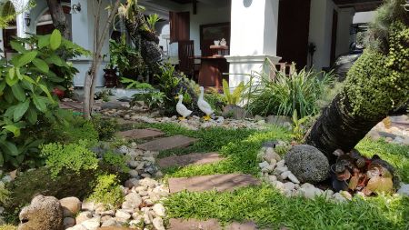 ให้เช่า บ้านเดี่ยว บ้านเดี่ยวสุขุมวิท 42 250 ตรม. 125 ตร.วา รูปที่ 9