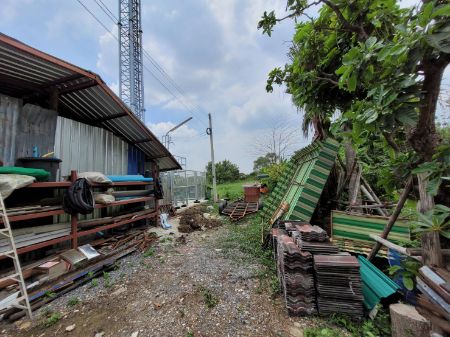 ขายด่วนที่ดินเปล่า พุทธมณฑลสาย2 ซอย 27 แยก3 55 ตร.วา รูปที่ 1