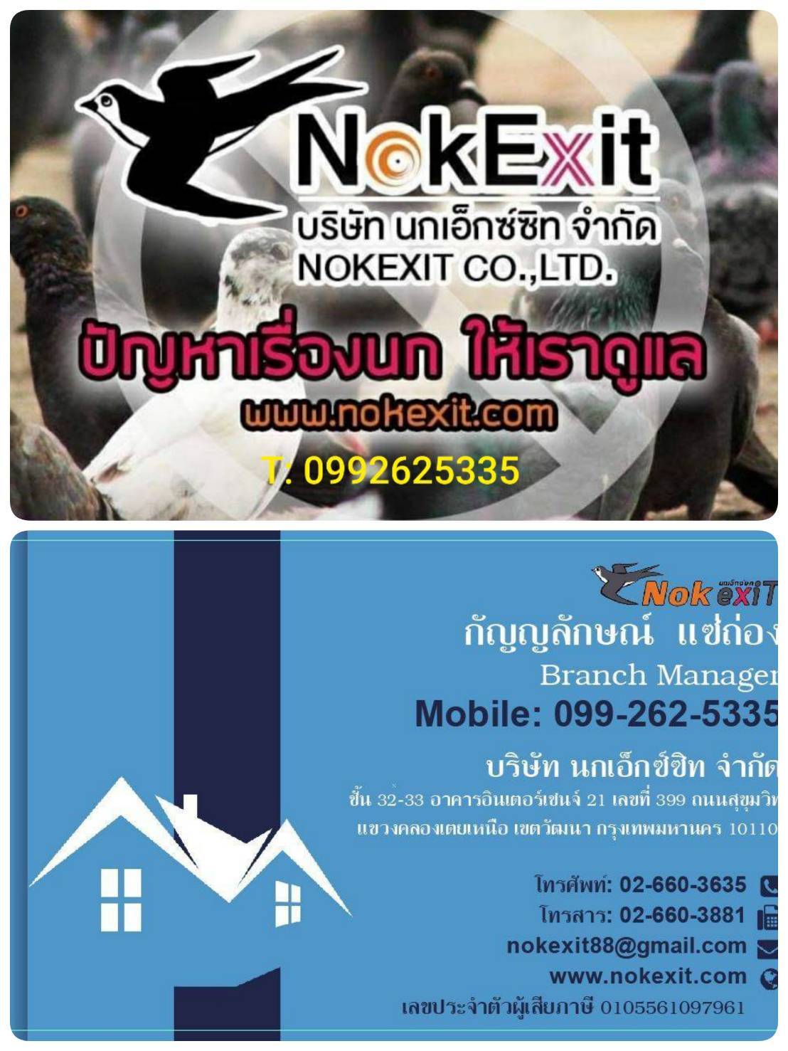 ตาข่ายกันนกคอนโด*นกเอ็กซ์ซิท*0992625335 รูปที่ 7