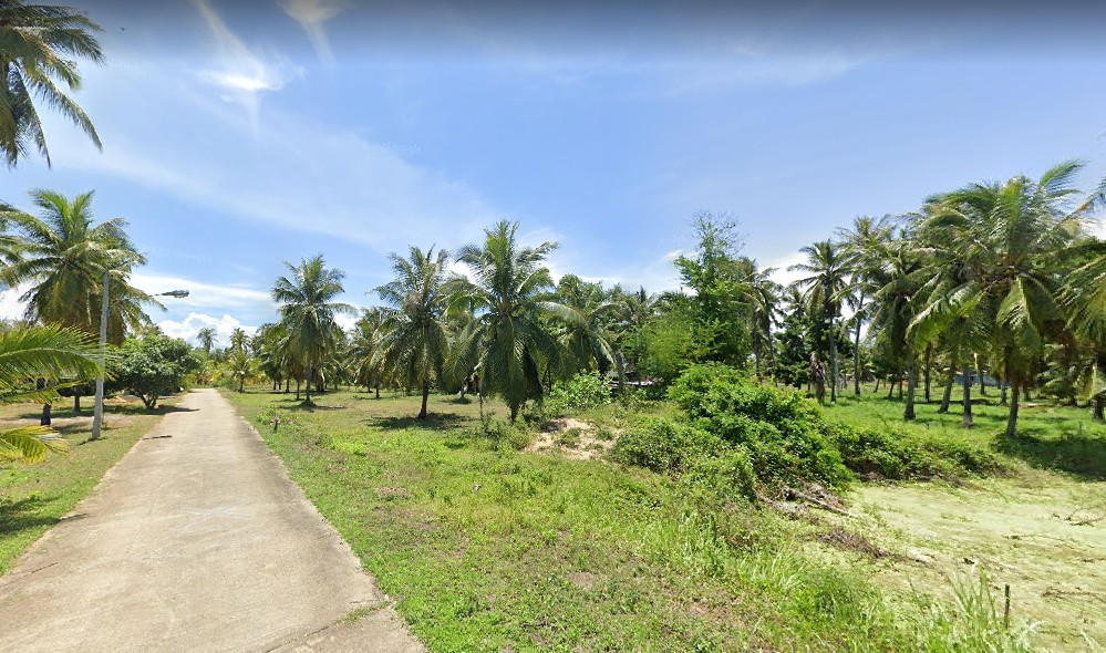 ขายด่วนที่ดินสวนมะพร้าว ใกล้หาดบ่อนอก ต.บ่อนอก อ.เมือง จ.ประจวบคีรีขันธ์ รูปที่ 1