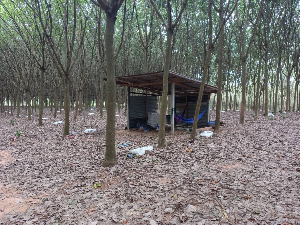 ขาย ที่ดิน ใกล้เขื่อน นฤบดินทร แก่งดินสอ ปราจีนบุรี รูปที่ 5