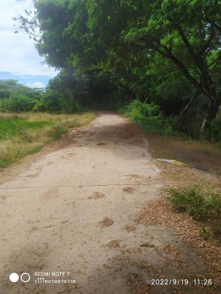 ขาย ที่ดิน ที่นา 10 ไร่ ติดถนนปูน ใกล้ถนนสายลพบุรี-ท่าวุ้ง เมือง ลพบุรี รูปที่ 3