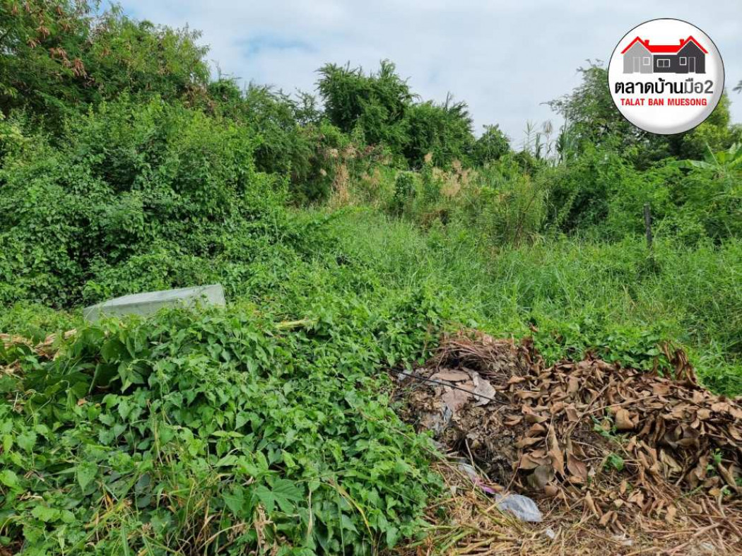ขาย ที่ดิน ต้องการขายด่วนที่ดินเปล่าใกล้ถนนสุขุมวิท117 2 ไร่ 58 ตร.วา . รูปที่ 5