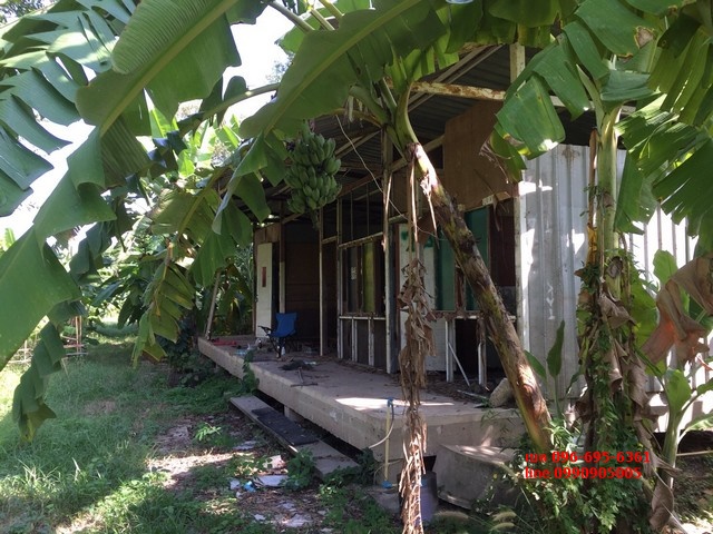 ขายที่ดิน ติดถนนกาญจนาภิเษก ตร.ว.ละ 12000 บาท 6-1-21.3 ไร่ Land for sale รูปที่ 1