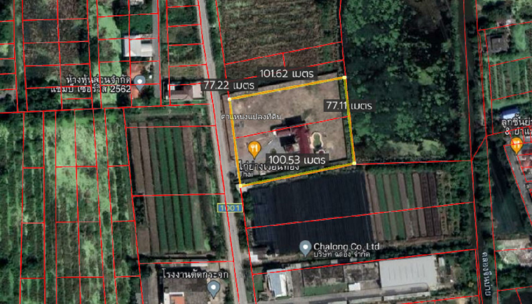 ขาย บ้านเดี่ยว หลังใหญ่ บ้านเดี่ยวนนทบุรี 8000 ตรม. 4 ไร่ 4 งาน พื้นที่เยอะ. รูปที่ 11