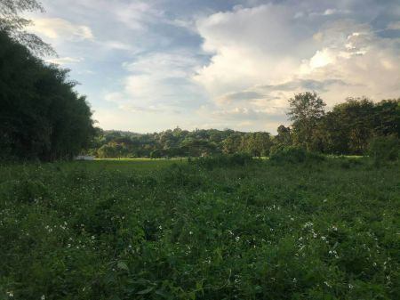 ขาย ที่ดิน เงียบสงบที่ดิน 2 ไร่ 2 งาน 65 ตร.วา ทำเลเด่น รูปที่ 2