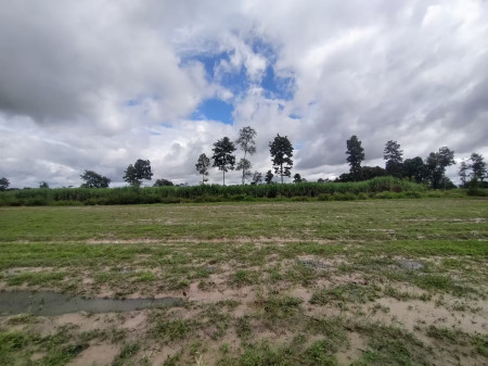 ขาย ที่ดิน ขายถูก ที่ดินเปล่า 10 ไร่ 9 ตร.วา ถนนเป็นทางเทศบาล รูปที่ 8