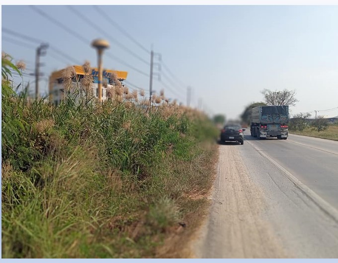 ขายที่ดิน 5 ไร่กว่า ติดถนนบางบัวทอง–สุพรรณบุรี (340) น้ำไม่ท่วม ใกล้ตลาดลาดบัวหลวงและถนน 346 รูปที่ 3