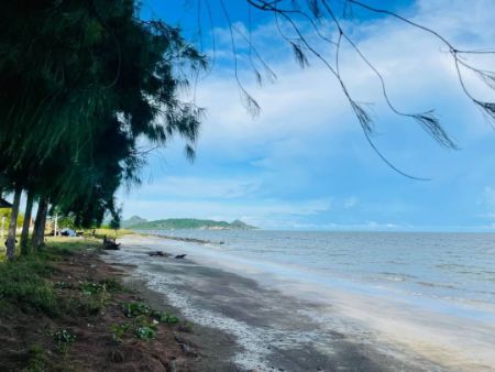 ขาย ที่ดิน ค่าโอนคนละครึ่ง กว้าง 18 ลึก 20 เมตรติดทะเลกุยบุรี 90 ตร.วา น้ำไฟพร้อม อยู่ในแหล่งชุมชน รูปที่ 4