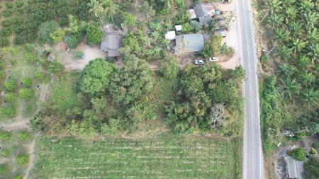 ขาย ที่ดิน ติดถนนลาดยาง น้ำ-ไฟพร้อมโครงการสวนสุขใจหนองหญ้าปล้อง 1 ไร่ 1 งาน 20 ตร.วา วิวเขากระทิง มีต้นไม้ใหญ่ในแปลง รูปที่ 6