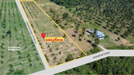 ขาย ที่ดิน ถนนโครงการกว้าง 6 เมตรแปลงทิวเขา เฟส1 1 ไร่ หลังพิงเขา เงียบสงบ ใกล้ทะเล และสถานที่ท่องเที่ยว รูปที่ 3