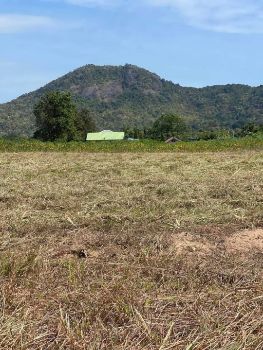 ขาย ที่ดิน โฉนดครุฑแดงชะอำ 100 ตร.วา ที่ดินวิวเขา ใกล้ทะเล ถนนกว้าง 8 เมตร รูปที่ 3