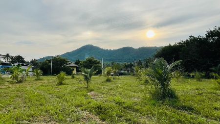 ขาย ที่ดิน ถนนโครงการกว้าง 6 เมตรแปลงทิวเขา เฟส1 1 ไร่ หลังพิงเขา เงียบสงบ ใกล้ทะเล และสถานที่ท่องเที่ยว รูปที่ 4