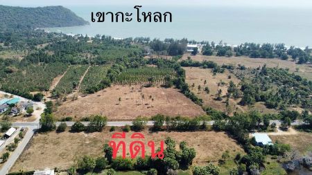 ขาย ที่ดิน โฉนดครุฑแดง ติดถนนลาดยางทุกแปลงสามร้อยยอด 265 ตร.วา วิวเขาใกล้ทะเลเพียง 700เมตร รูปที่ 2