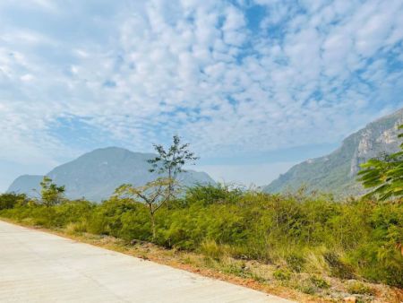 ขาย ที่ดิน โฉนดครุฑแดง วิวเขาล้อมรอบ 360 องศา โครงการใหม่ สามร้อยยอด 90 ตร.วา ติดถนนคอนกรีต ใกล้แหล่งท่องเที่ยว ใกล้ชุมชน รูปที่ 3