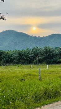 ขาย ที่ดิน ถนนโครงการกว้าง 6 เมตรแปลงทิวเขา เฟส1 1 ไร่ หลังพิงเขา เงียบสงบ ใกล้ทะเล และสถานที่ท่องเที่ยว รูปที่ 5
