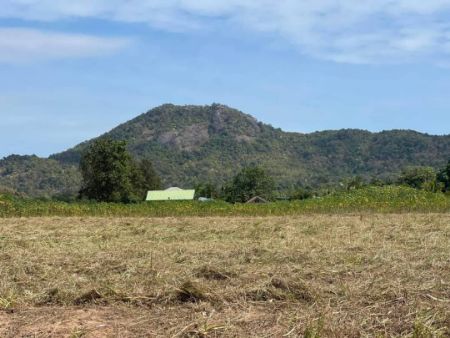 ขาย ที่ดิน โฉนดครุฑแดงชะอำ 100 ตร.วา ที่ดินวิวเขา ใกล้ทะเล ถนนกว้าง 8 เมตร รูปที่ 4
