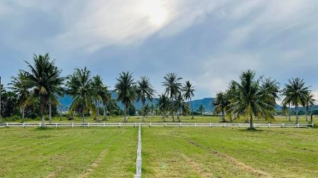 ขาย ที่ดิน โฉนดครุฑแดง ใกล้ทะเล 5กม.แปลงชะอำ รอยต่อหัวหิน 200 ตร.วา ในที่ดินเดินระบบน้ำประปา และไฟฟ้าไว้พร้อมใช้งานแล้ว รูปที่ 2