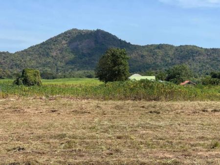 ขาย ที่ดิน โฉนดครุฑแดงชะอำ 100 ตร.วา ที่ดินวิวเขา ใกล้ทะเล ถนนกว้าง 8 เมตร รูปที่ 5