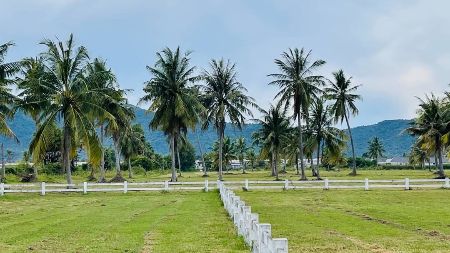 ขาย ที่ดิน โฉนดครุฑแดง ใกล้ทะเล 5กม.แปลงชะอำ รอยต่อหัวหิน 200 ตร.วา ในที่ดินเดินระบบน้ำประปา และไฟฟ้าไว้พร้อมใช้งานแล้ว รูปที่ 3