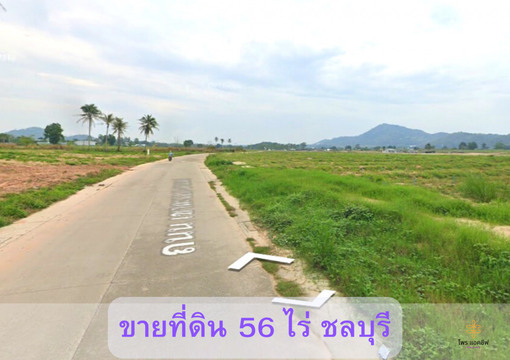 ขายที่ดินศรีราชา ราคาถูก ที่ดินแปลงใหญ่ 56 ไร่ ใกล้นิคมอุตสาหกรรม เหมาะสร้างหมู่บ้าน รูปที่ 1