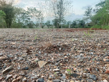 ขาย ที่ดิน เขาใหญ่ถูก สุดๆ   สวยที่ดิน 1 งาน 4.09 ตร.วา ผืนเล็ก รูปที่ 10